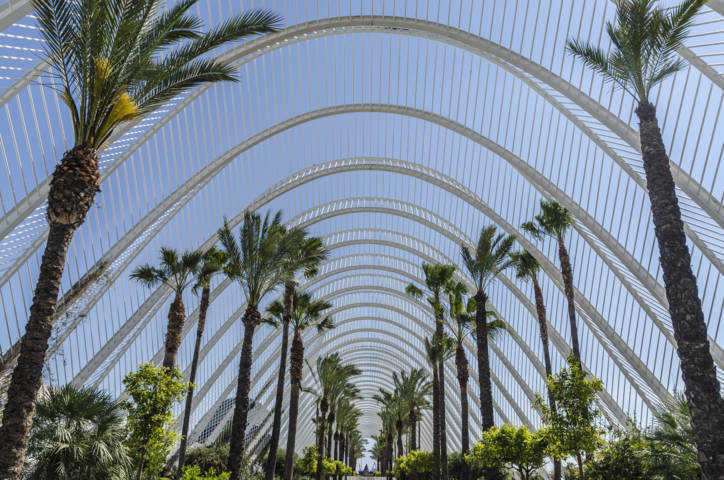 168 - Valencia - Ciutat de Les Arts i Les Ciencies - Umbracle